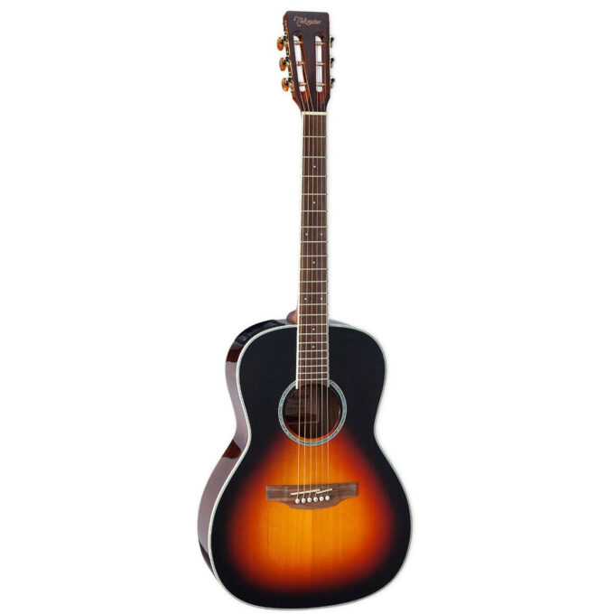 Hozier’s Music Gear: Takamine Acoustic Guitar Hozier Hozier